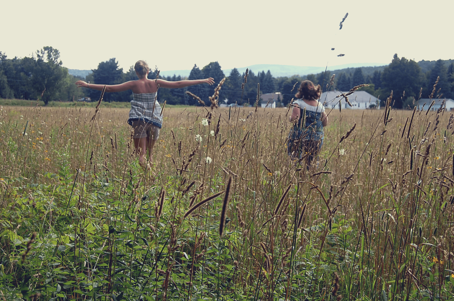 Running through weeds & wheat